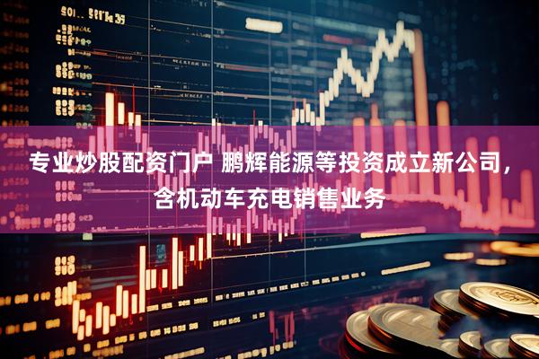 专业炒股配资门户 鹏辉能源等投资成立新公司，含机动车充电销售业务