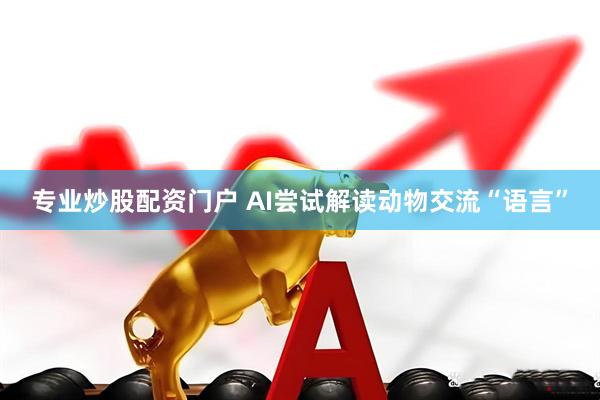 专业炒股配资门户 AI尝试解读动物交流“语言”