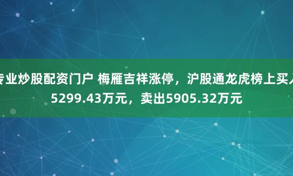 专业炒股配资门户 梅雁吉祥涨停,沪股通龙虎榜上买入5299.43万元,卖出5905.32万元