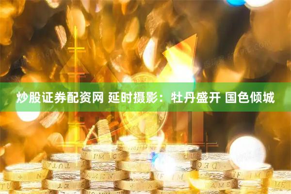 炒股证券配资网 延时摄影：牡丹盛开 国色倾城